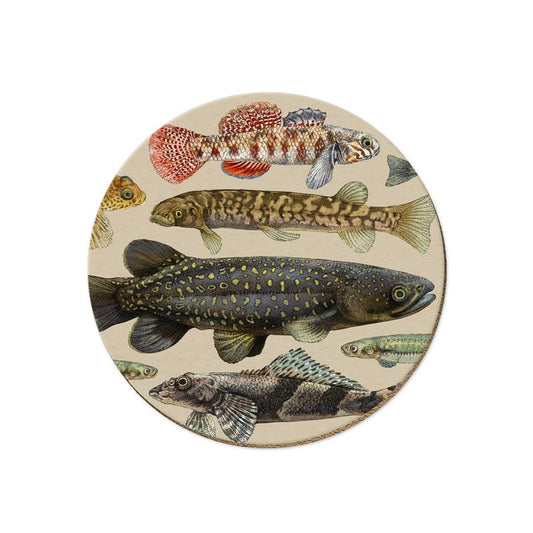 Wolfkamp & Stone Single Coaster - NZ Freshwater Fish
