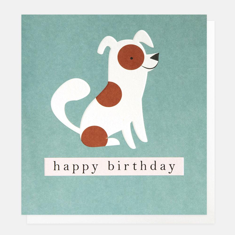 Card - Spotty Dog on Teal Birthday