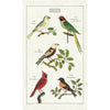 Birds - Cavallini Print Tea Towel