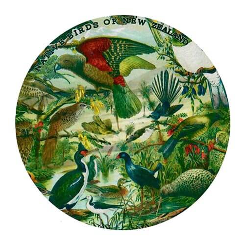 Native Birds of NZ Prestige Ceramic Coaster The Red Dog Gift Shop NZ