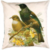 Tui Bird Prestige Cushion Cover - The Red Dog Gift Shop