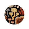 Wolfkamp & Stone Single Coaster - Fungi Bolete