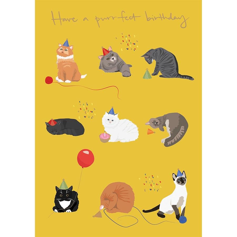 Card - Have a Purrfect Birthday - The Red Dog Gift Shop