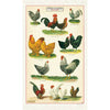 Chickens & Roosters - Cavallini Print Tea Towel