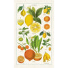 Citrus - Cavallini Print Tea Towel