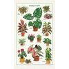 House Plants - Cavallini Print Tea Towel