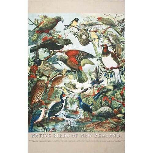 Native Birds of NZ Prestige Tea Towel - The Red Dog Gift Shop NZ