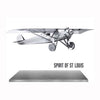 Spirit of St Louis - Metal Earth Model - The Red Dog Gift Shop